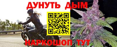 сатива Гай