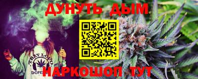 сатива Гай