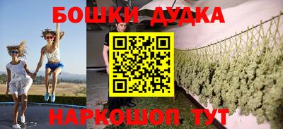сатива Гай