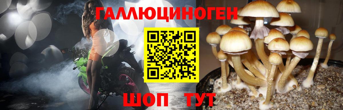 Серпухов  Галлюциногенные грибы мицелий  Вход с VPN 